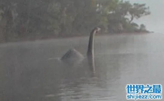 温德米尔湖水怪事件,不少人猜测只是普通的大型鱼类