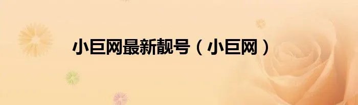 小巨网最新靓号（小巨网）