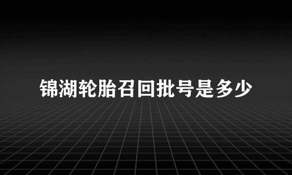 锦湖轮胎召回批号是多少