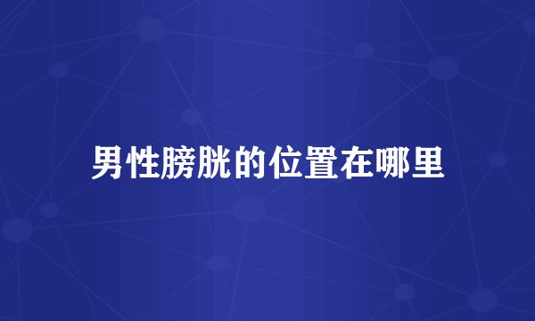 男性膀胱的位置在哪里