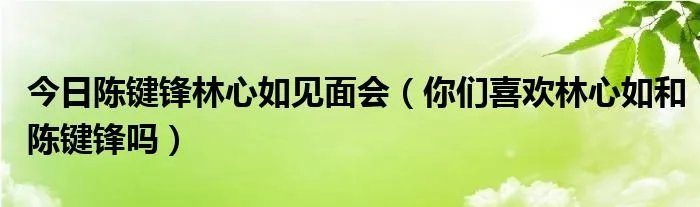 今日陈键锋林心如见面会（你们喜欢林心如和陈键锋吗）