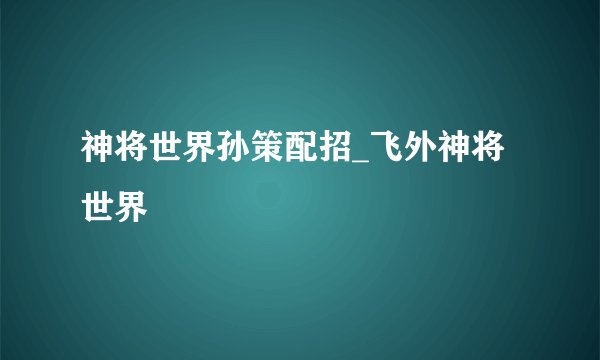 神将世界孙策配招_飞外神将世界