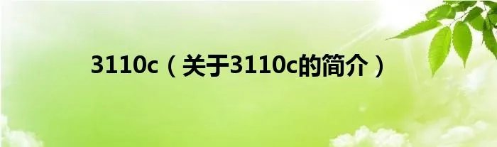 3110c（关于3110c的简介）