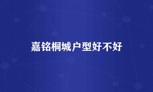 嘉铭桐城户型好不好