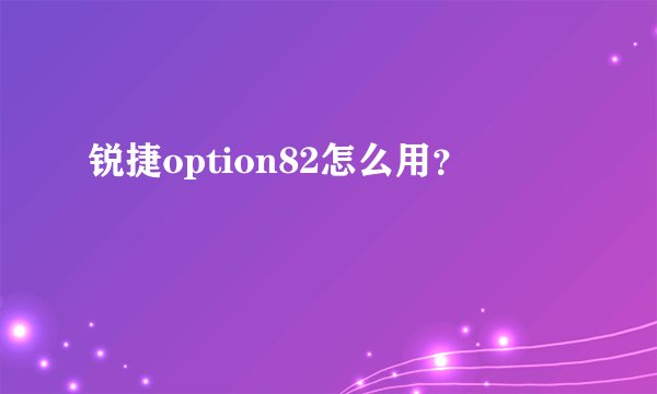 锐捷option82怎么用？