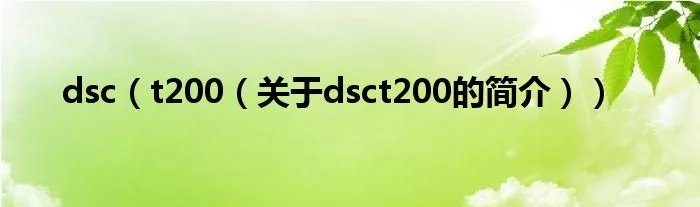 dsc(t200(关于dsct200的简介))