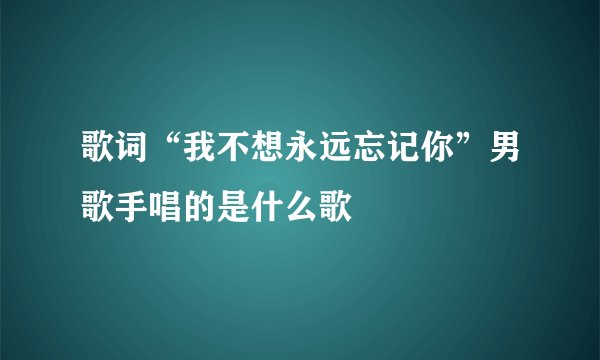 歌词“我不想永远忘记你”男歌手唱的是什么歌