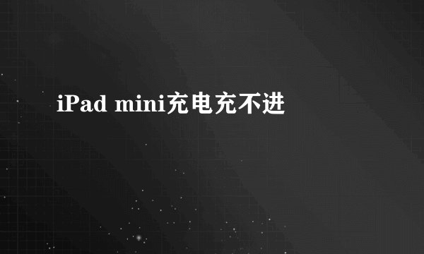 iPad mini充电充不进