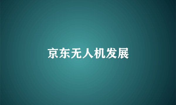 京东无人机发展