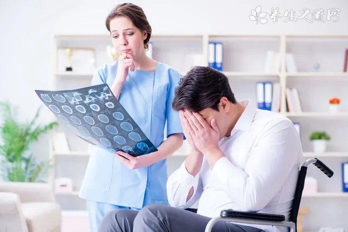俊介君是什么品种狗