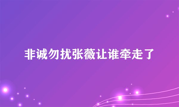 非诚勿扰张薇让谁牵走了