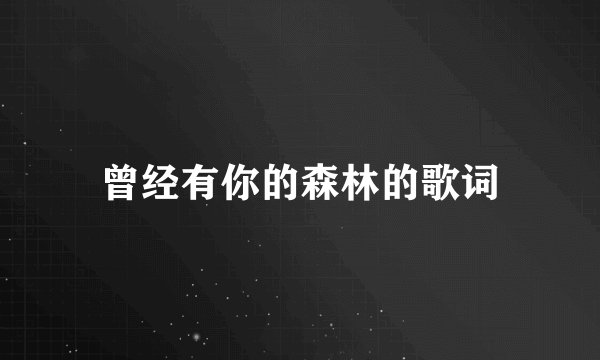 曾经有你的森林的歌词