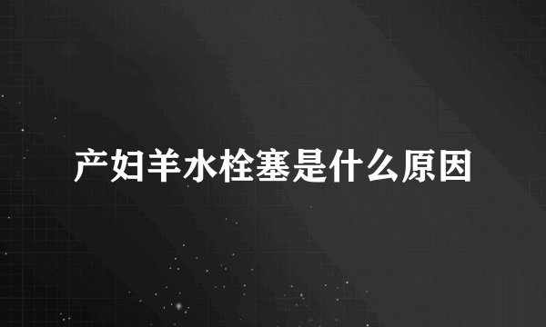 专车服务是什么？