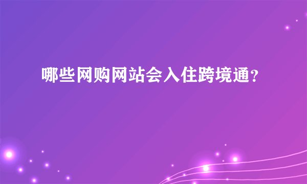 哪些网购网站会入住跨境通？