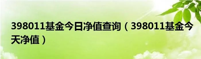 398011基金今日净值查询（398011基金今天净值）