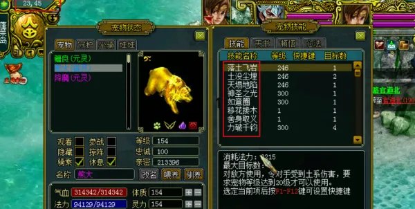 问道人宠合一怎么弄?