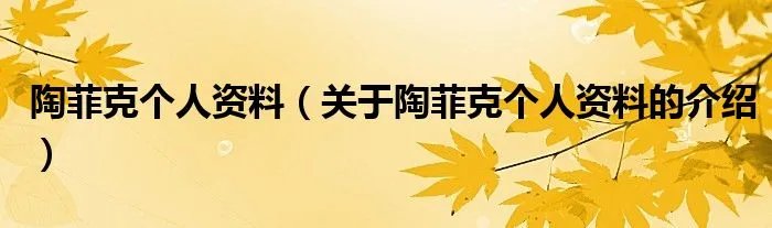 陶菲克个人资料（关于陶菲克个人资料的介绍）