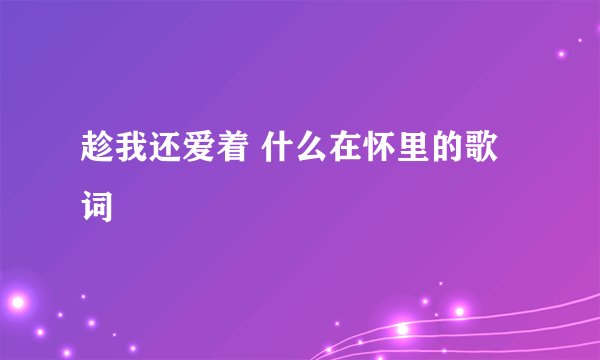 趁我还爱着 什么在怀里的歌词