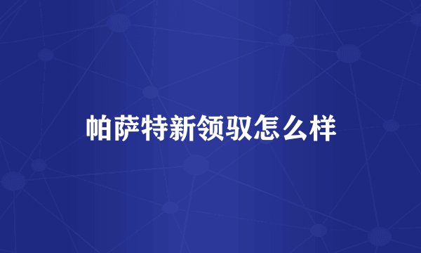 帕萨特新领驭怎么样