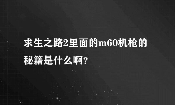求生之路2里面的m60机枪的秘籍是什么啊？