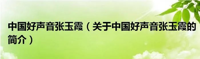 中国好声音张玉霞（关于中国好声音张玉霞的简介）