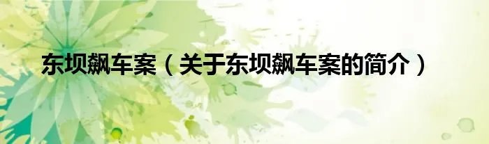 东坝飙车案（关于东坝飙车案的简介）