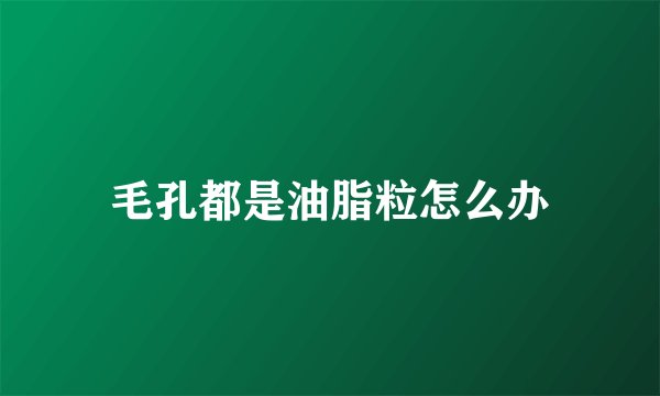 毛孔都是油脂粒怎么办