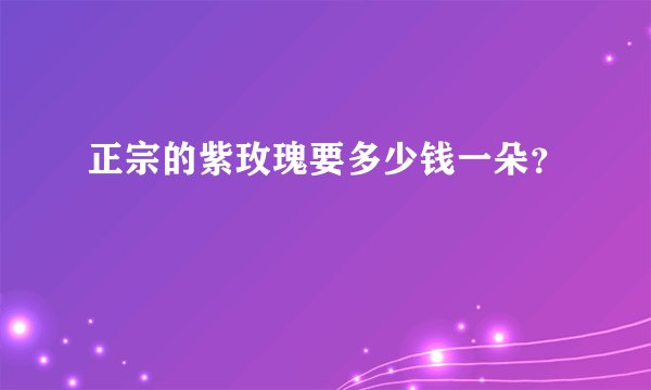 正宗的紫玫瑰要多少钱一朵？
