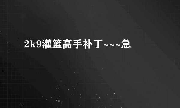 2k9灌篮高手补丁~~~急