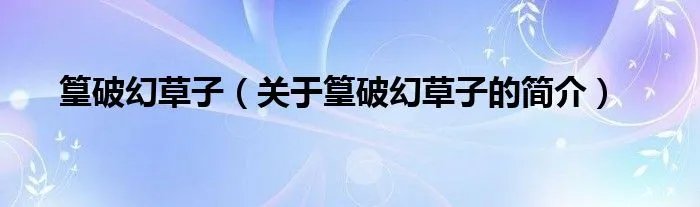 篁破幻草子（关于篁破幻草子的简介）