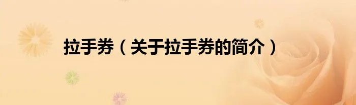 拉手券（关于拉手券的简介）