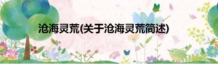 沧海灵荒(关于沧海灵荒简述)