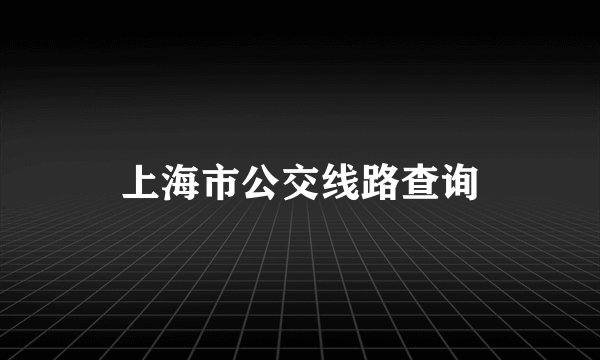 上海市公交线路查询