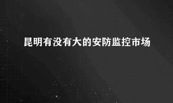 昆明有没有大的安防监控市场