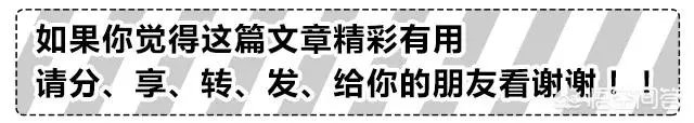 买木材能转多少钱