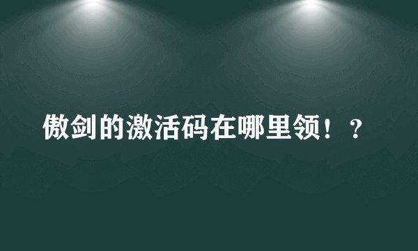 傲剑的激活码在哪里领！？