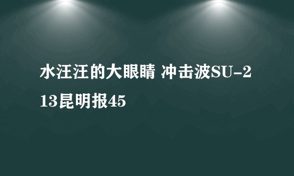 水汪汪的大眼睛 冲击波SU-213昆明报45