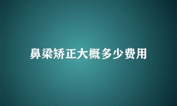 鼻翼上提多少钱