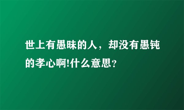 世上有愚昧的人，却没有愚钝的孝心啊!什么意思？