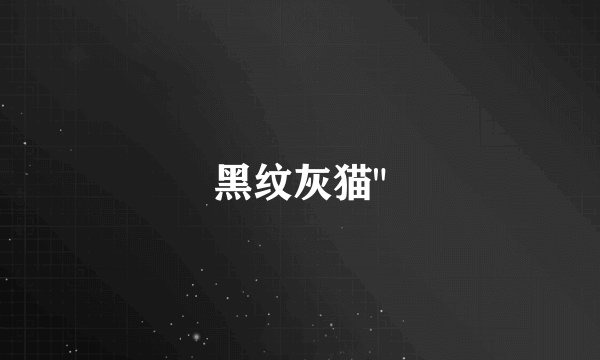 黑纹灰猫