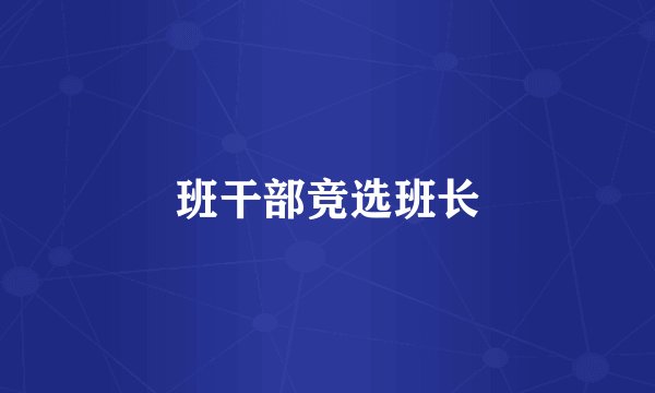 班干部竞选班长