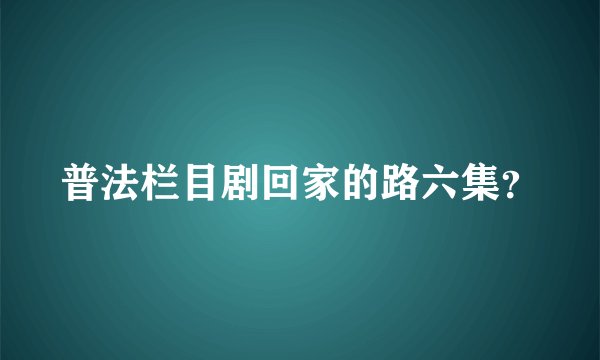 普法栏目剧回家的路六集？