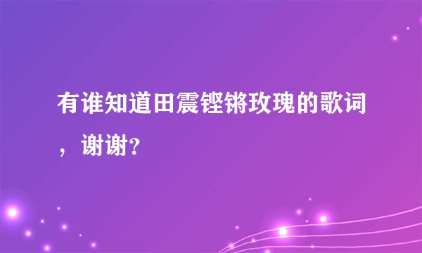 有谁知道田震铿锵玫瑰的歌词，谢谢？