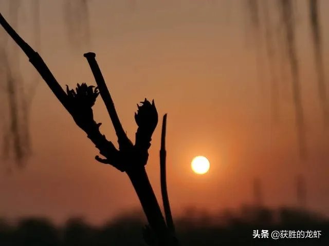 因为这次新冠疫情，中国4月4日举行哀悼活动有什么积极的意义？