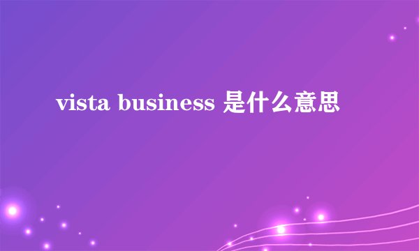 vista business 是什么意思