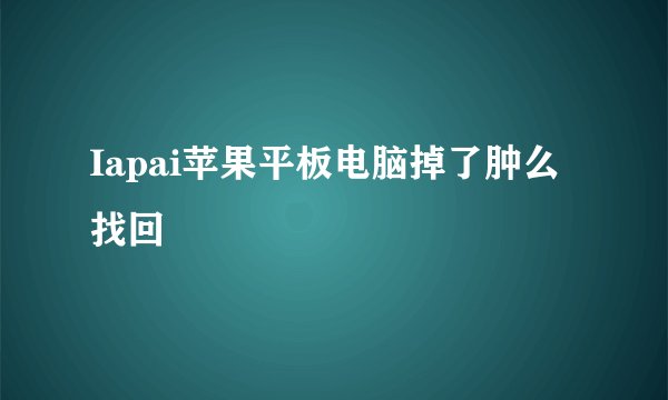 Iapai苹果平板电脑掉了肿么找回