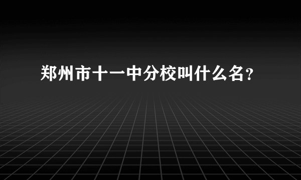 郑州市十一中分校叫什么名？