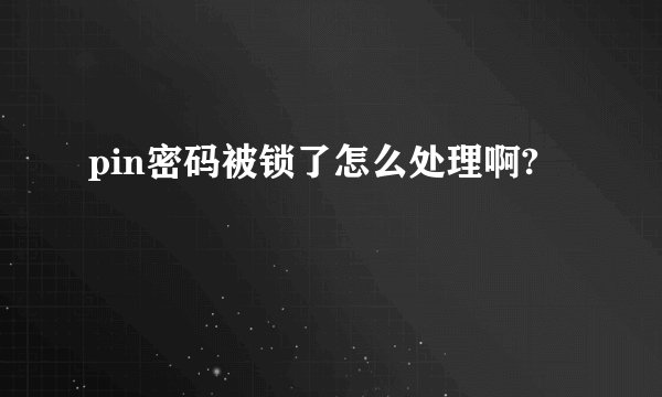 pin密码被锁了怎么处理啊?