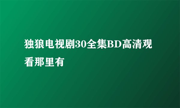 独狼电视剧30全集BD高清观看那里有
