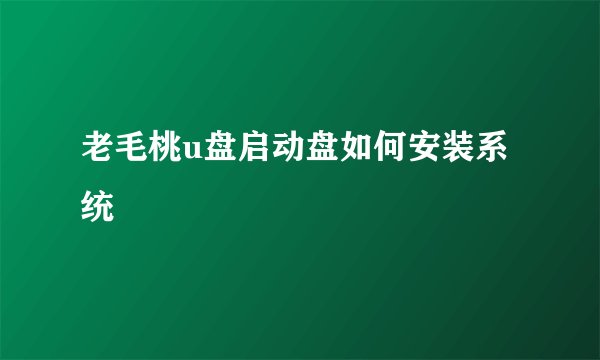 老毛桃u盘启动盘如何安装系统
